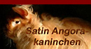Satinangora