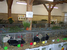 Ausstellungshalle